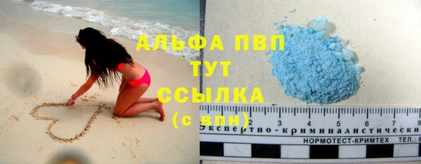 СК Пересвет