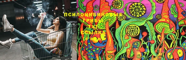 ешки Алзамай