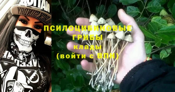 синтетический гашиш Алексеевка