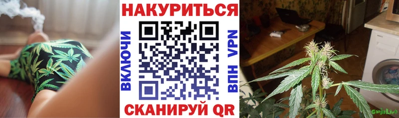 Бошки марихуана Bruce Banner  Медынь 
